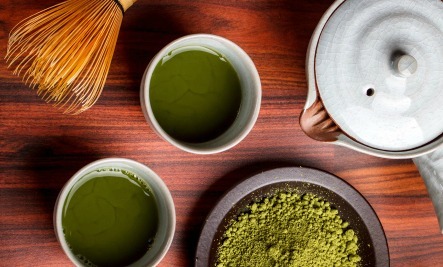 فروش چای ماچا